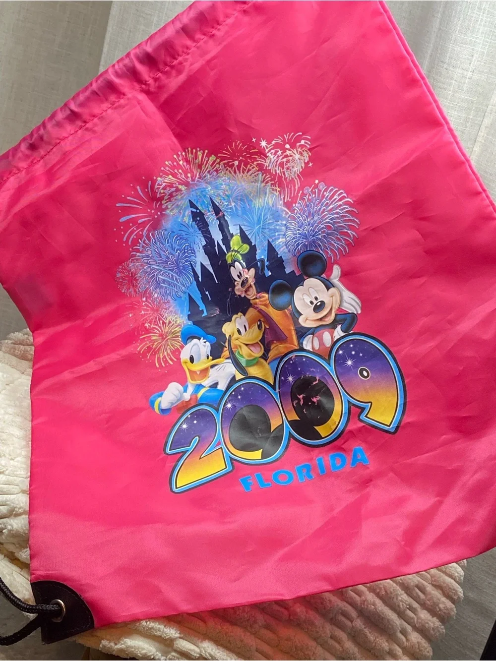 2009 Walt Disney World Florida Pink Drawstring Cinch Backpack Mickey Friends